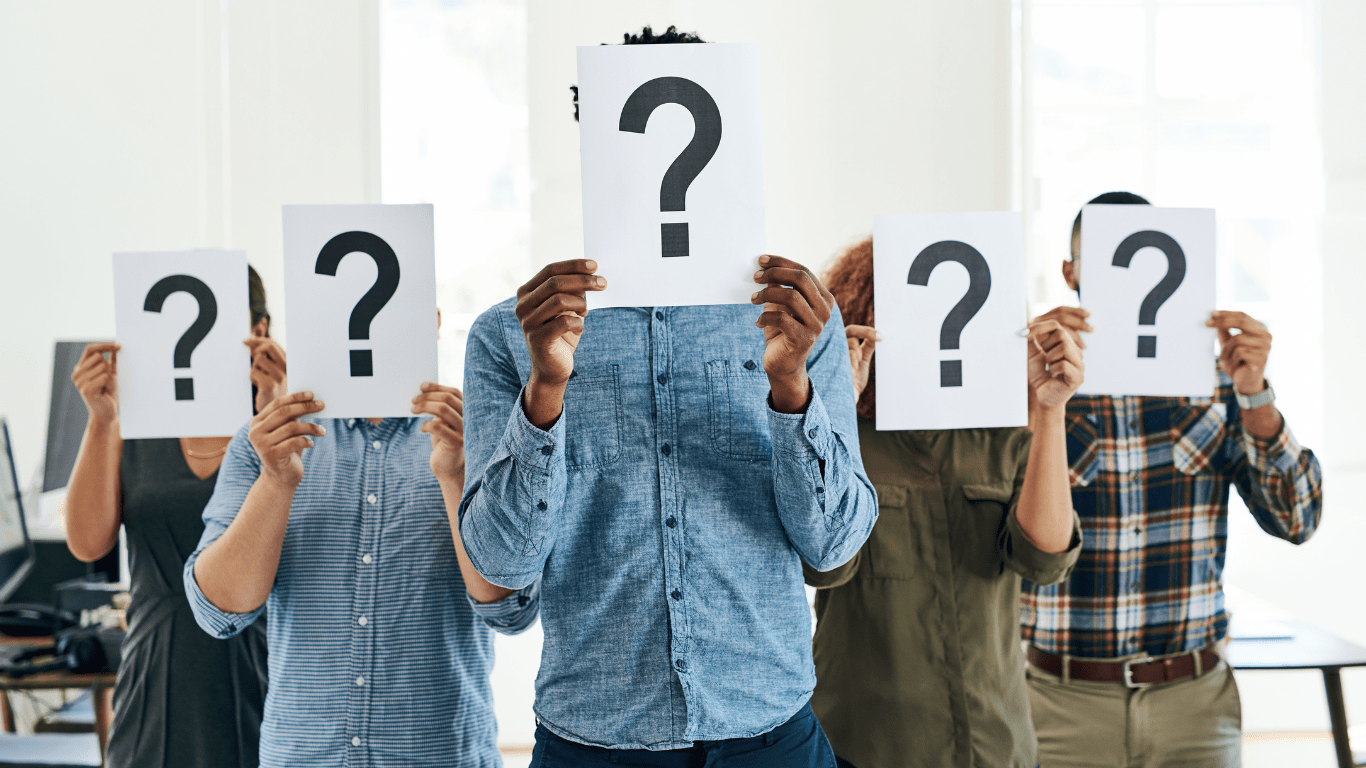 Who are the people in IT department
